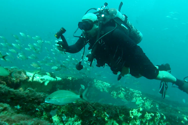 蓝迪是一名潜水爱好者，他和一组志愿者在墨西哥湾建造了一个人造礁